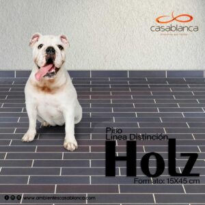 Piso Holfz 15×45