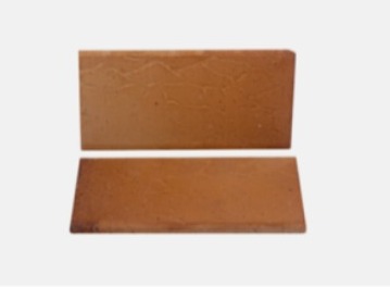 WhatsApp Image 2025-11-06 at 1.44.22 PM